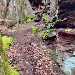 24-02-26 14-07-21 8711